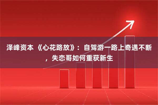 泽峰资本 《心花路放》：自驾游一路上奇遇不断，失恋哥如何重获新生