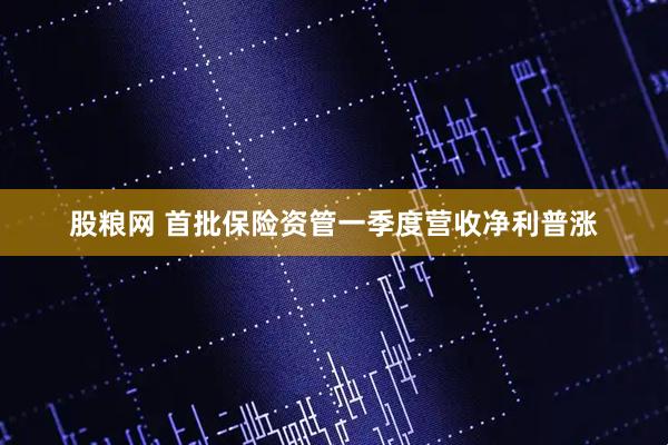 股粮网 首批保险资管一季度营收净利普涨