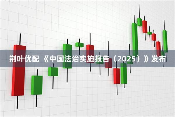 荆叶优配 《中国法治实施报告（2025）》发布