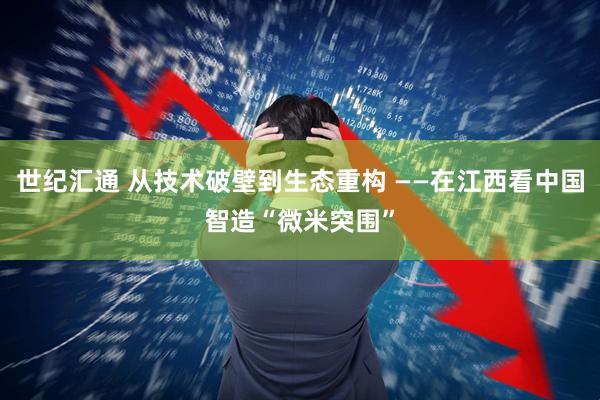 世纪汇通 从技术破壁到生态重构 ——在江西看中国智造“微米突围”