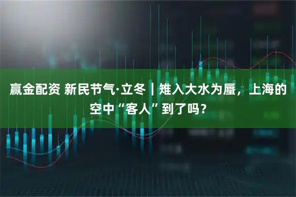 赢金配资 新民节气·立冬｜雉入大水为蜃，上海的空中“客人”到了吗？