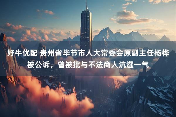 好牛优配 贵州省毕节市人大常委会原副主任杨桦被公诉，曾被批与不法商人沆瀣一气