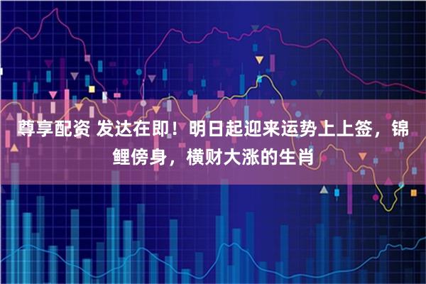 尊享配资 发达在即！明日起迎来运势上上签，锦鲤傍身，横财大涨的生肖