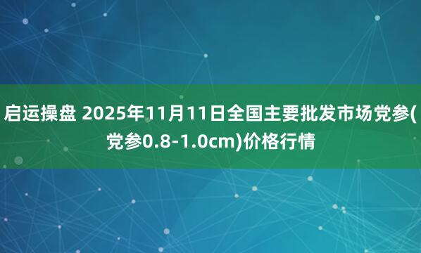 启运操盘 2025年11月11日全国主要批发市场党参(党参0.8-1.0cm)价格行情
