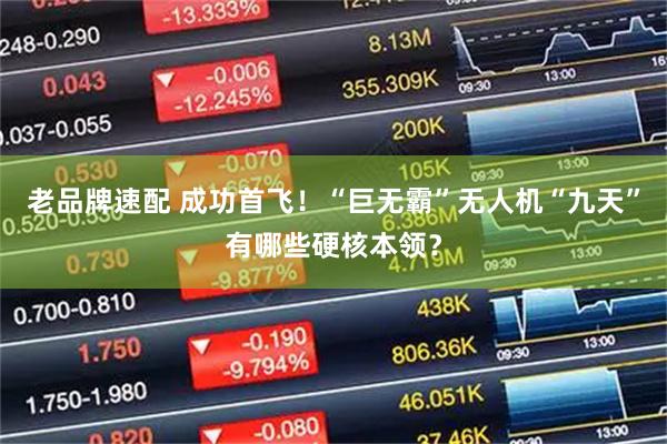 老品牌速配 成功首飞!“巨无霸”无人机“九天”有哪些硬核本领?