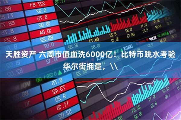 天胜资产 六周市值血洗6000亿!比特币跳水考验华尔街拥趸,\