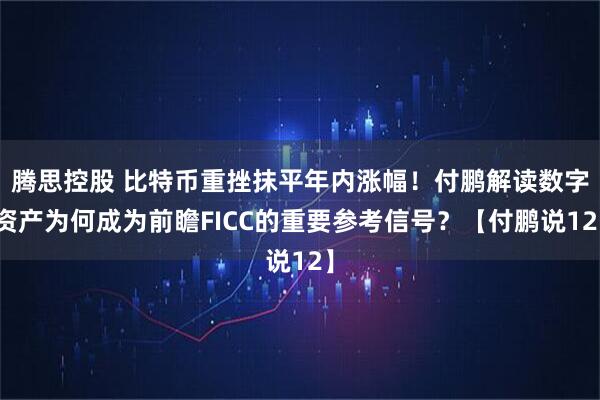 腾思控股 比特币重挫抹平年内涨幅!付鹏解读数字资产为何成为前瞻FICC的重要参考信号?【付鹏说12】